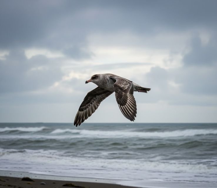 Skuas sneaky animals