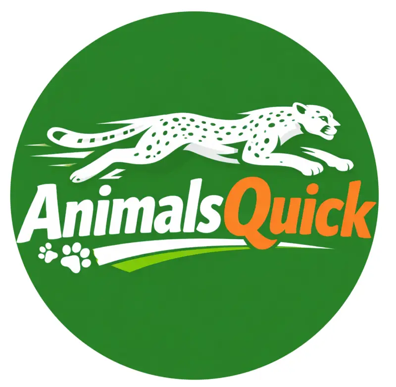 animalsquick