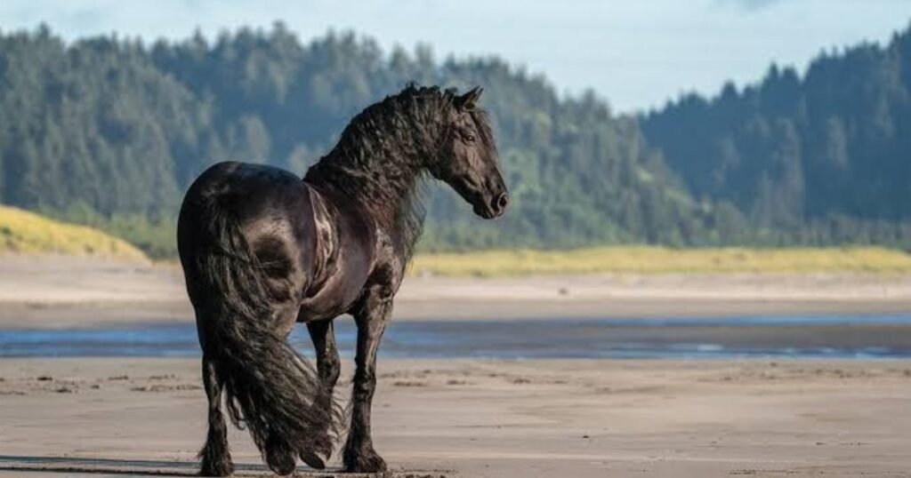 Horse-most-energetic-pet-in-the-world
