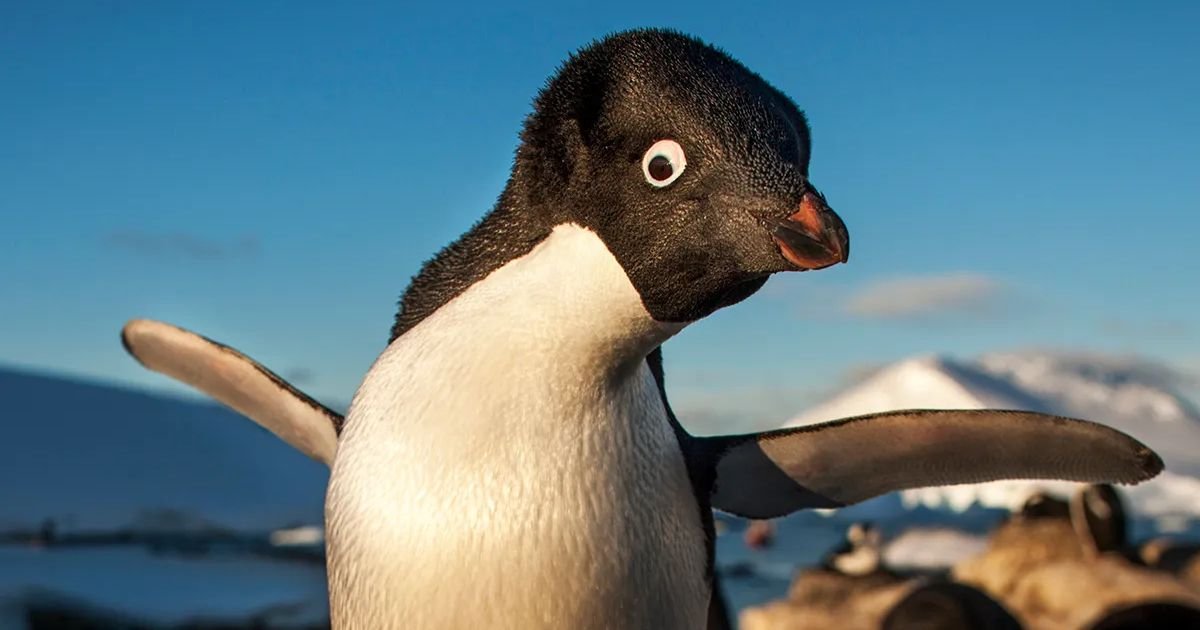 happiest animals in the world
